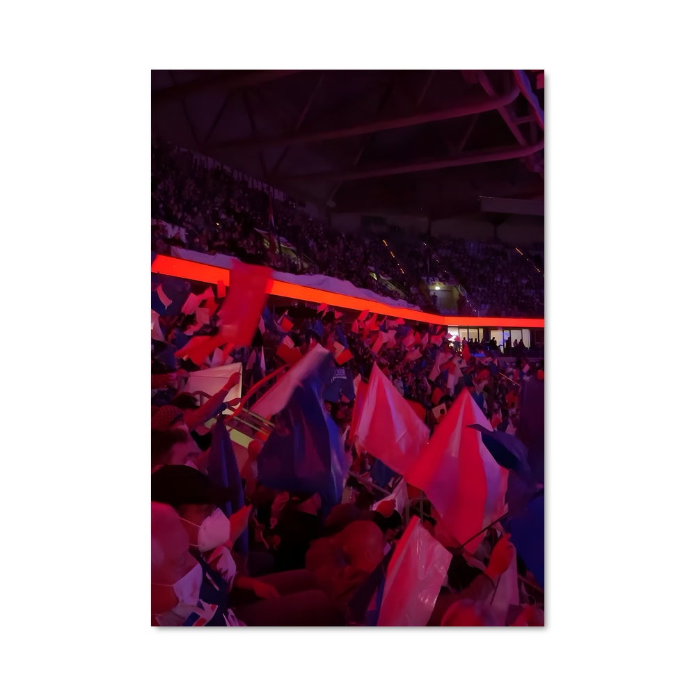 Poster Adler mannheim